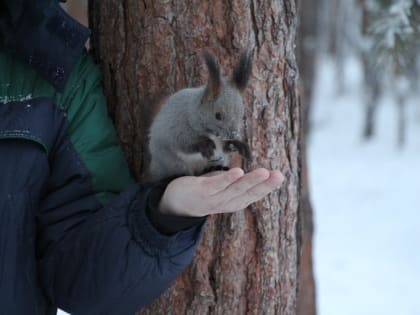 В столице заметно потеплело