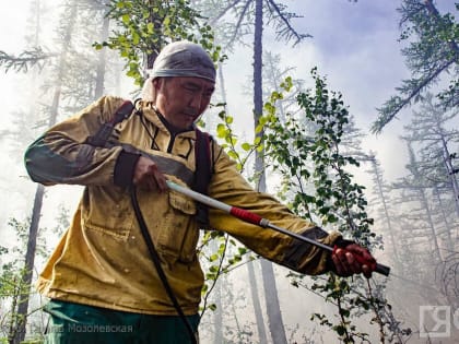 Свыше 2,5 млрд рублей направят в Якутии на охрану лесов от пожаров в 2023 году