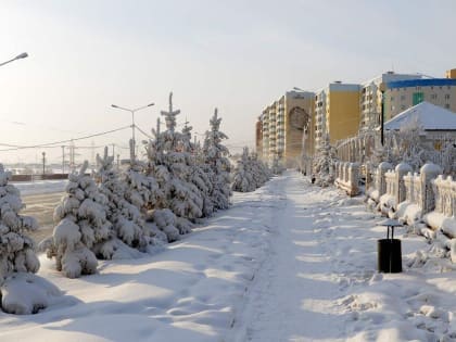 Крещенских морозов напрасно ждать. Теплая зима в Якутии уже не исключение