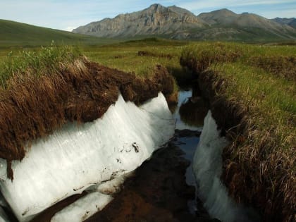 Конференцию по климату в Якутии посетят более 200 мировых экспертов