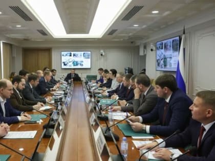 Феликс Романов принял участие в заседании Комитета Палаты молодых законодателей при Совете Федерации