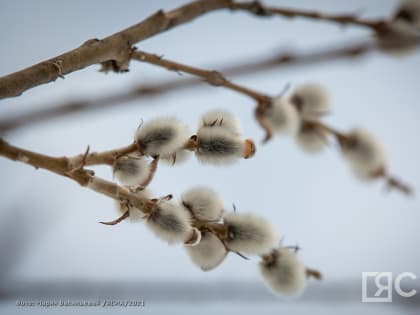 Этот день в календаре. 24 апреля