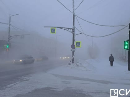 В Якутске 24 и 25 января объявили актированными днями для учеников с 1 по 8 классы