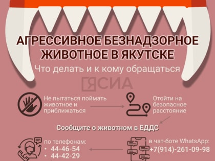 В Якутске ищут владельца алабая, напавшего на женщину в парке отдыха