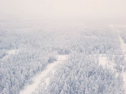 В Якутске готовятся земельные участки для многодетных семей