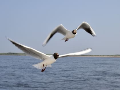 Синоптики прогнозируют 30-градусную жару в Якутии