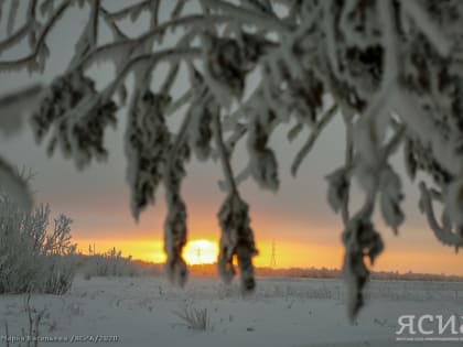 Якутия отличилась в 2022 году температурными рекордами