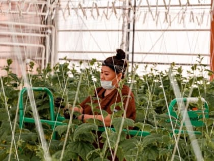 «Саюри» и ЯСХТ заключили договор о подготовке будущих специалистов сельского хозяйства