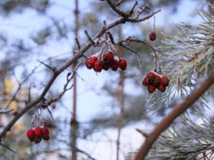 Прогноз погоды в Якутске на 28 декабря