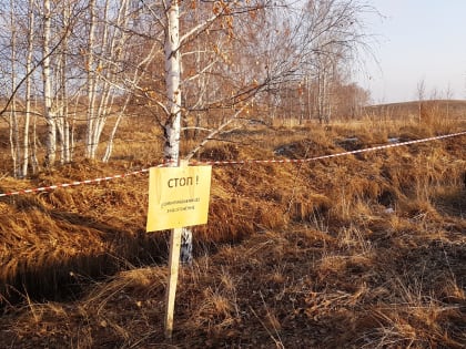 В Алданском районе неограждённое сибиреязвенное захоронение угрожает безопасности людей и животных