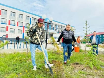 Якутская городская Дума высадила в городских школах березы