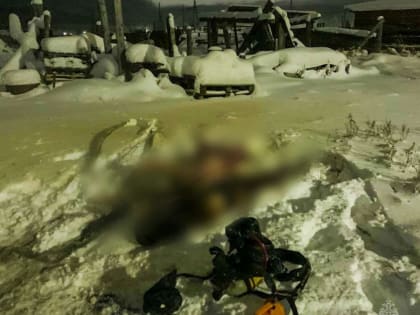 В Якутии в течение суток в пожарах погибли три человека