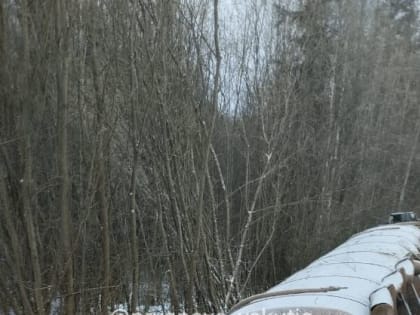 Крупное ДТП: перевернулся большегруз на трассе