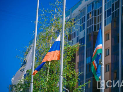 В Якутии СВФУ будет развивать направление фиджитал-гольфа