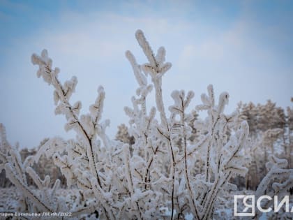 В Якутии зафиксировали температуру в - 62 градуса