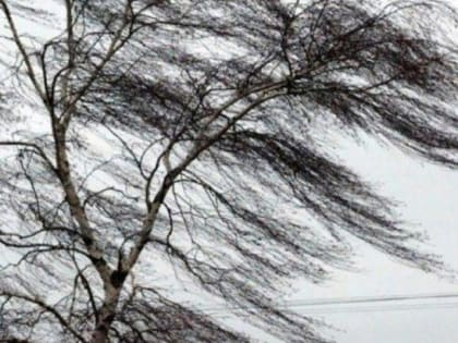 Днем 6 апреля в Якутске существенных осадков не ожидается