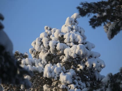 В Якутии стремительно теплеет