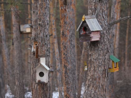 В выходные дождь и мокрый снег испортят день пикника 