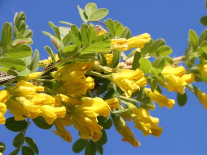 Летняя погода возвращается в столицу