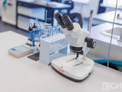 Продлена регистрация на третий этап конкурса «Наука. Территория героев» 2023