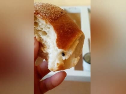 Мышиный помет обнаружили в еде детской инфекционной больницы Якутска