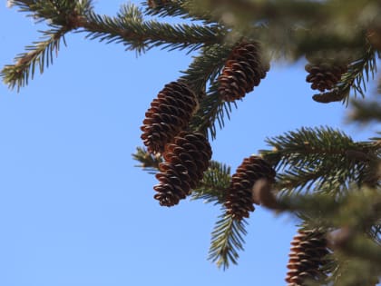 Весна на дворе, а на улице -33°