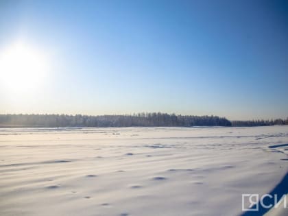 Сбер предложил создать климатический совет стран СНГ