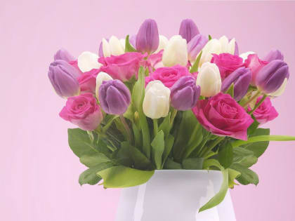 Дорогие женщины!