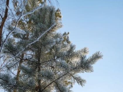 Прогноз погоды в Якутске на 30 октября