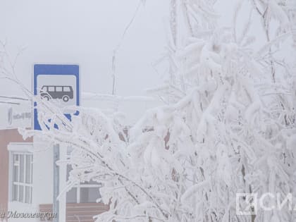 Появление новых типов автобусных маршрутов анонсировал глава Якутска