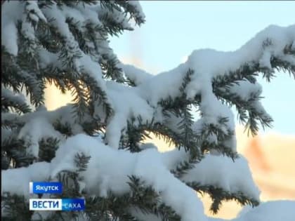 Холодный день в Якутске: температура опускается до -23 градусов