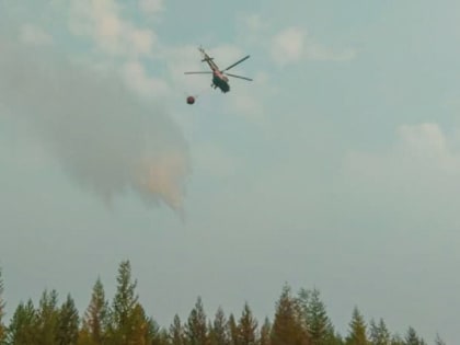 Крупный лесной пожар потушили в Среднеколымском районе Якутии