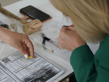 В Якутии уже более 25 тысяч заявлений от абитуриентов поступило в учебные заведения СПО