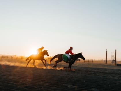 Победителем скачек на призы главы Якутска в самой престижной дистанции стала лошадь якутской породы