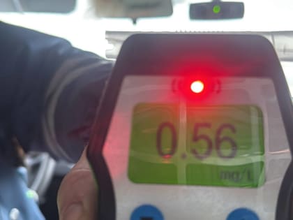 Водители трезвеют? Количество выпивших за рулем уменьшилось