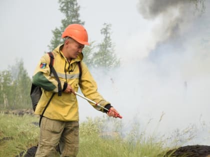 Взыскать 75 тысяч рублей, затраченных на тушение лесного пожара, с виновных постановил суд в Усть-Алданском районе