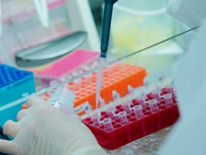 Гинцбург заявил о десятках циркулирующих в России штаммов коронавируса