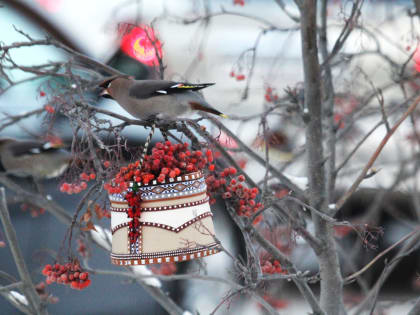 Вернулись 50-градусные морозы