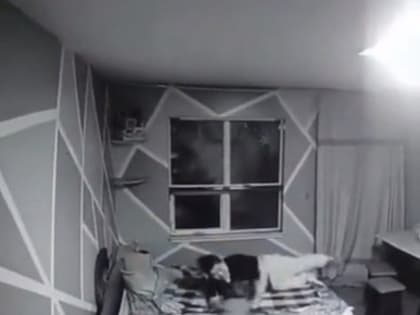 В Якутске полицейские разыскали няню, издевавшуюся над детьми