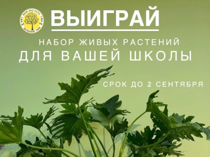 Народная акция «Зеленого рая»: выиграй набор растений для вашей школы
