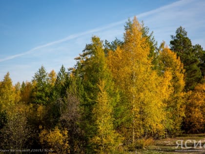 В Якутии потушили последний лесной пожар