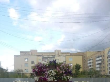 Дополнительные цветочные клумбы переустановят в близлежащий сквер на проспекте Ленина