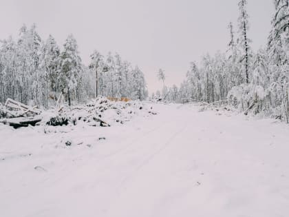 Выделение земельных участков многодетным семьям в Якутске