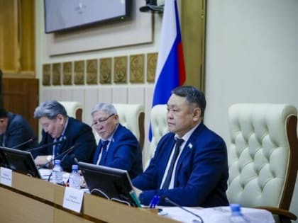 Совет представительных органов муниципальных образований: бюджет, тарифы на электроэнергию и поддержка участников СВО