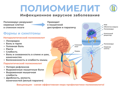 О профилактике полиомиелита