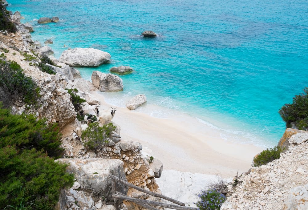 Ultimate Guide to the Best Sandy Beaches in Europe