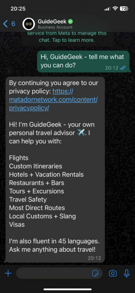 GuideGeek Review: Is this AI Travel Assistant worth it?