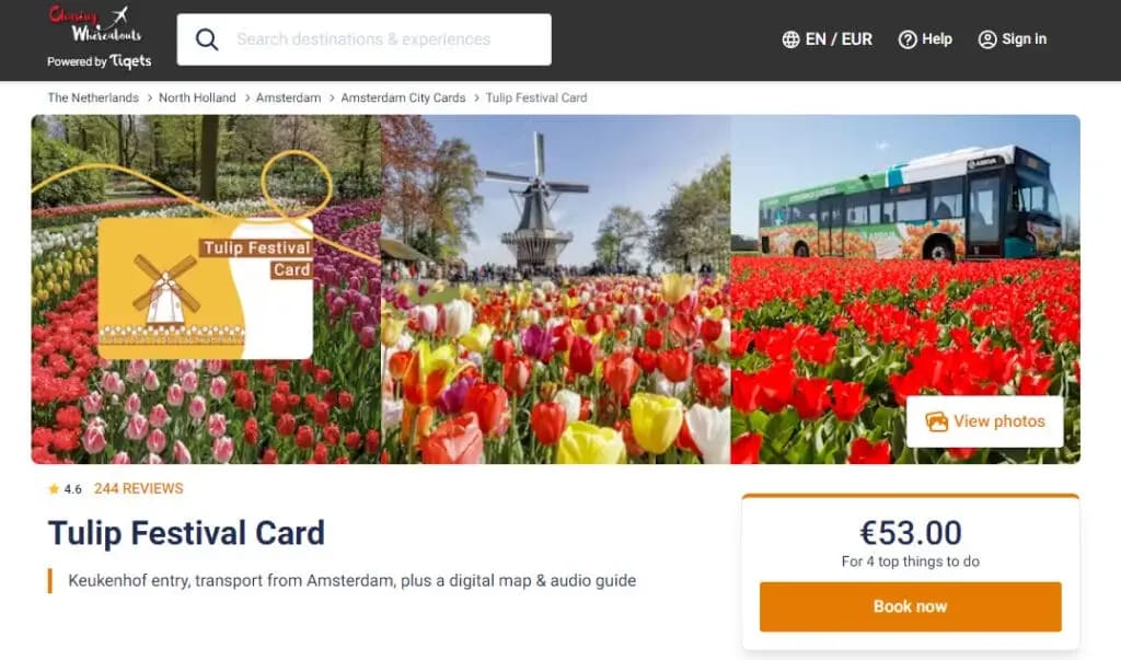 Tulip Festival Card Review: Is it worth it?