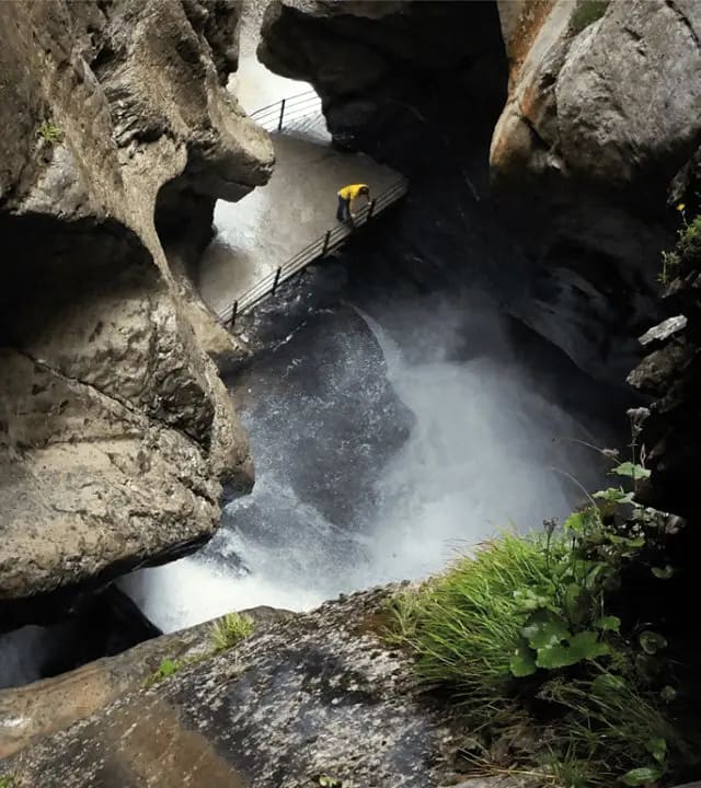 Is the Brussels Card Worth It? - What does the Brussels Card include