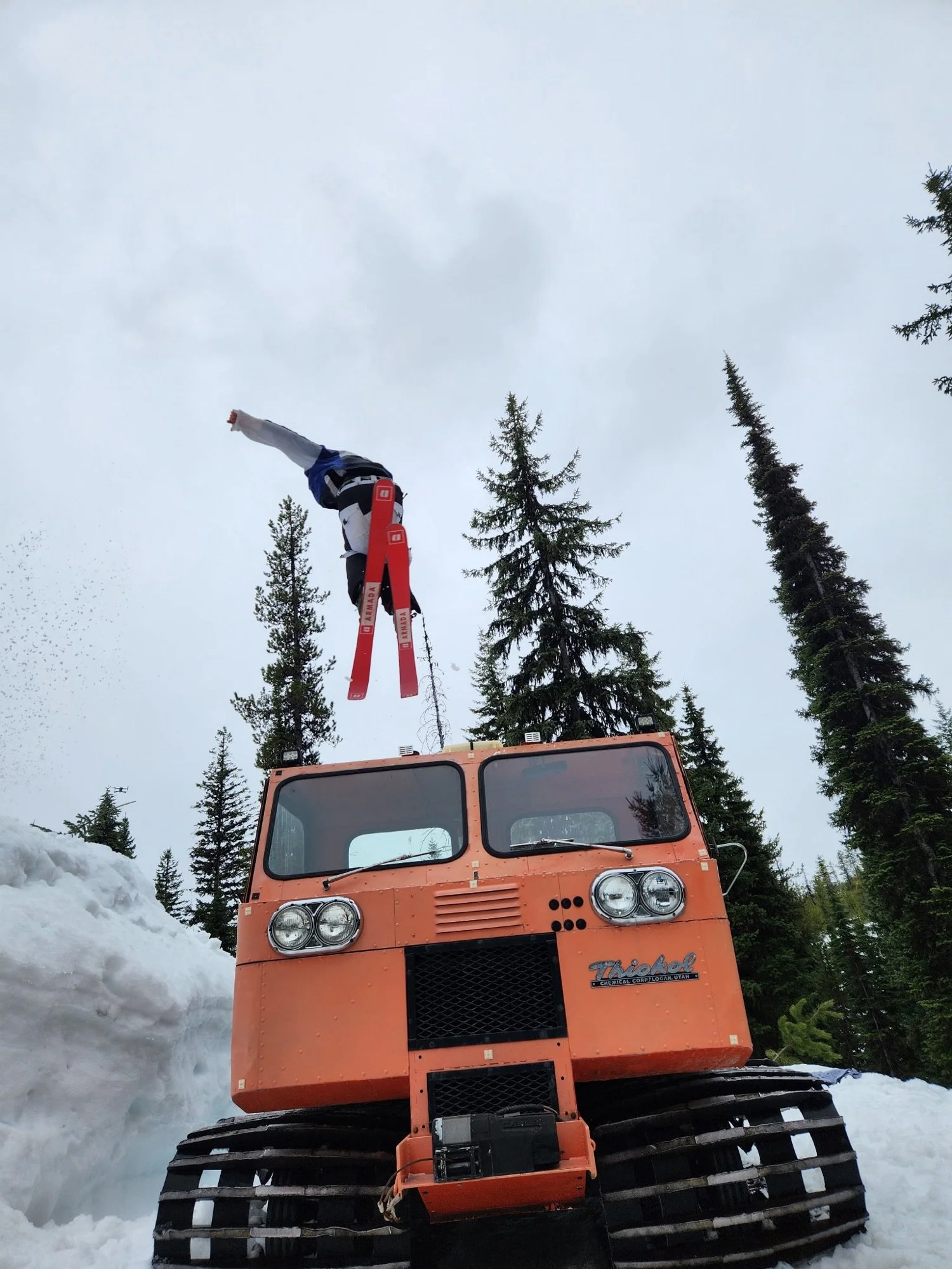 Disco Carrot on the mountain